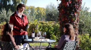Lanzan “Argentina, tierra de vinos” para unificar el enoturismo en el país