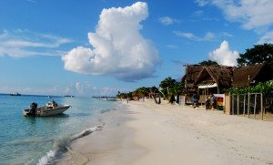 OMT destaca apertura de Jamaica y su política de visados turísticos