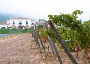 La ruta del vino Ribera del Guadiana crea la Primavera Enogastronómica
