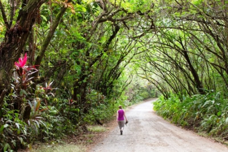 Para muchos países la experiencia en ecoturismo pone a Costa Rica como una referencia