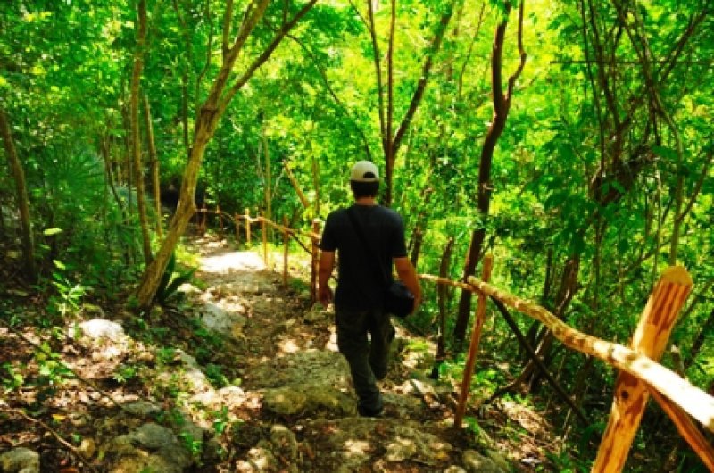 Cuba tiene varios parques y áreas naturales protegidas para recorrer