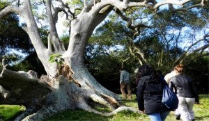 Crédito y educación, claves para desarrollo de turismo natural en Uruguay