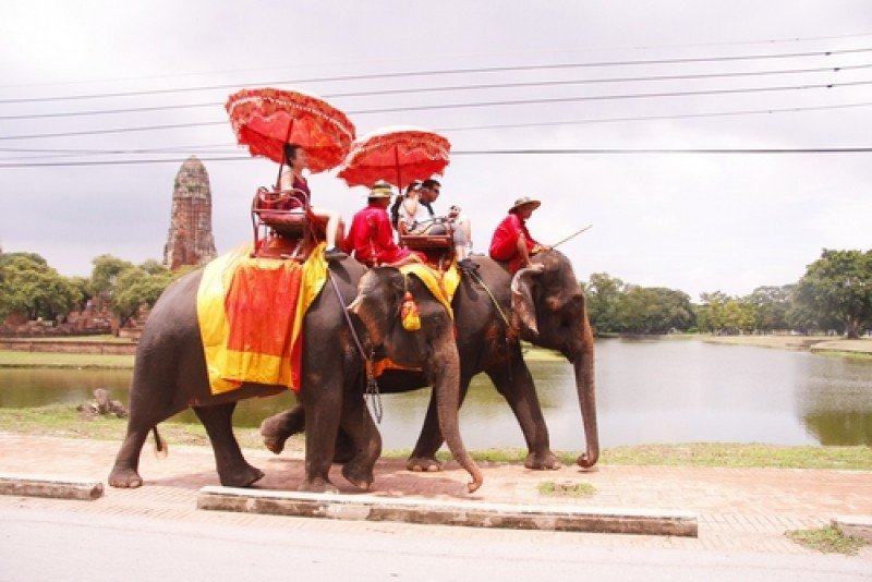 Turistas pasean en elefantes en la antigua ciudad de Ayutthaya. #shu#