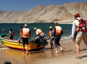 Turismo interno en Chile aumenta 8% este verano