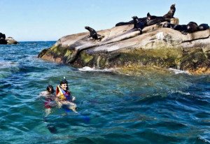Retiran proyecto turístico en México tras críticas de ambientalistas