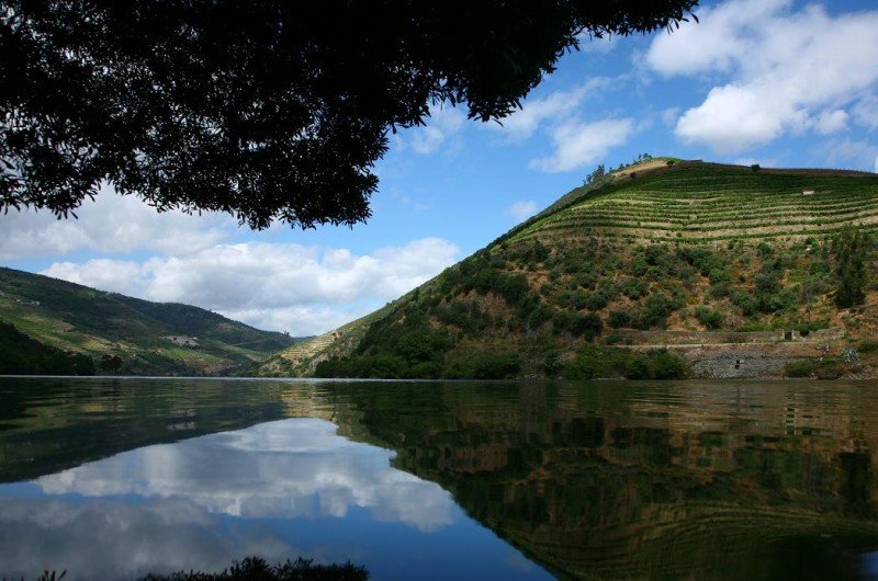 El valle del Duero, en suelo luso, es Patrimonio de la Humanidad por la Unesco.