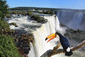 Suspenden los circuitos turísticos en las Cataratas de Iguazú