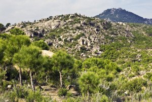 El turismo rural y de camping aumenta un 14% en la Comunidad de Madrid