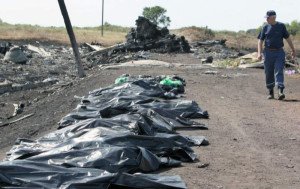 IATA: La tragedia del MH17 fue un crimen terrible pero volar sigue siendo seguro 