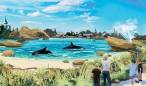 SeaWorld: nuevo proyecto para superar la caída de visitantes