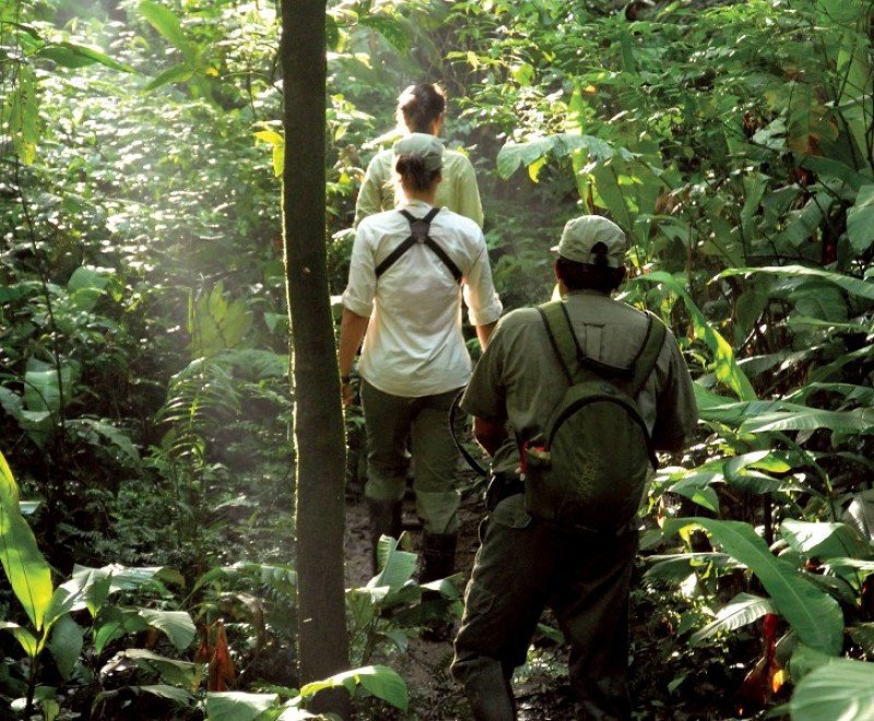 Una excursión guiada para turistas en la selva amazónica de Perú.