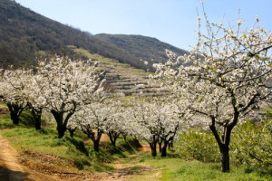 Extremadura destinará más de 35 M € al turismo en 2015
