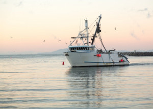 El proyecto de pesca-turismo pasará por el Senado