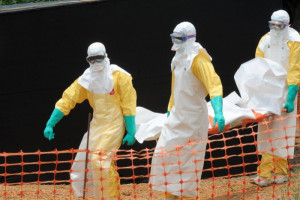 El ébola no afecta al turismo en África, según la OMT