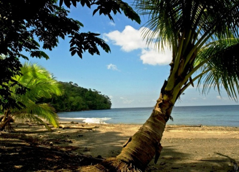 Isla de Gorgona en el Pacífico de Colombia.
