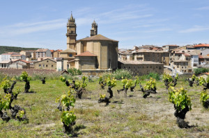 La Rioja Alavesa acoge el cuarto Foro de Turismo Enogastronómico