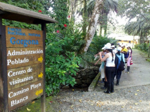 Preocupación de ANATO por el impacto del atentado en Parque Natural Gorgona
