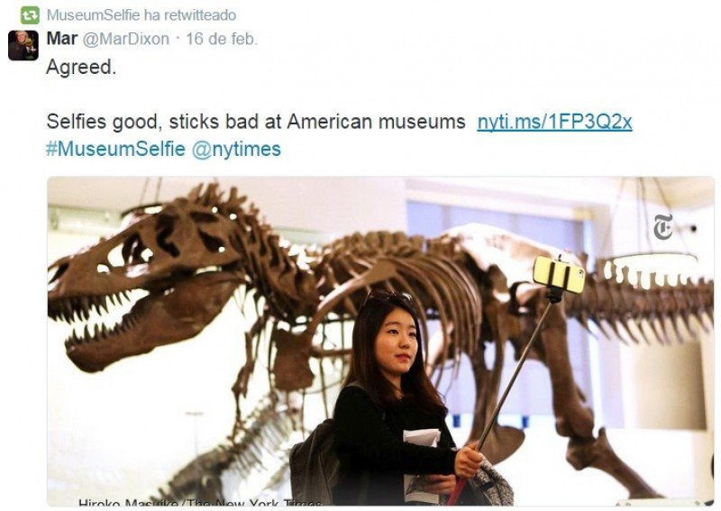 Selfies en los museos sí, con palo no
