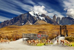 Chile expulsará a extranjeros que no cumplan normas de Parques Nacionales