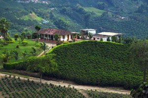 Para las agencias de Colombia el aumento del dólar potenciará el turismo interno