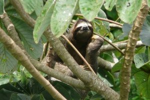 Panamá destina US$ 3 millones a plan de ecoturismo en áreas protegidas
