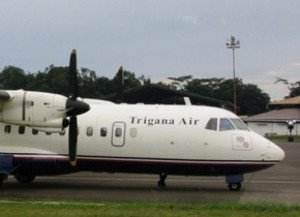 Los restos del avión indonesio siniestrado, hallados en Papúa