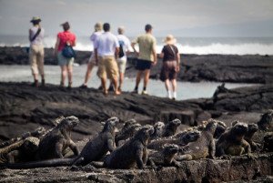 Galápagos enfrenta su recuperación turística sin contagios comunitarios