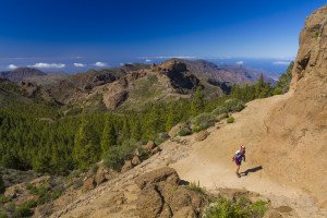 Canarias convoca exámenes para guías de turismo