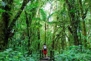 Panamá quiere sacarle partido al ecoturismo como lo ha hecho Costa Rica