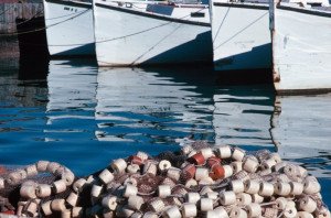 Baleares aprueba el turismo pesquero