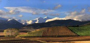 La Rioja desarrolla un nuevo reglamento para el sector