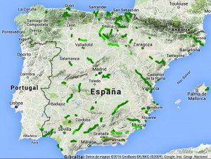 Vías Verdes, la apuesta más sostenible del turismo español