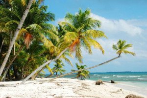 Países del Caribe trabajarán como alianza de destinos sostenibles