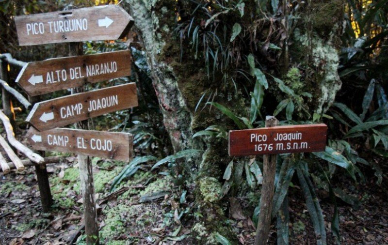 En la zona del Pico Turquino, en la Sierra Maestra, hay diversas alternativas de turismo de naturaleza.