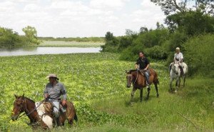 Ciclo de capacitación para turismo rural en Uruguay
