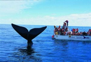 Chubut cerró convocatoria para Ministro de Turismo: más de 20 postulantes