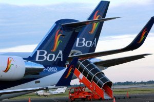 BoA amplía su flota y alcanza 120 vuelos semanales