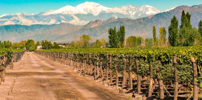 Una de las propiedades en Argentina estará en Valle de Uco, dentro del complejo Tupungato Winelands.