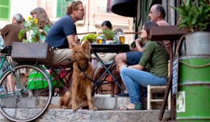 Restaurantes de Buenos Aires permitirán mascotas en mesas exteriores