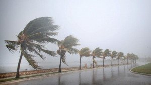Irma abandona Cuba y llegará hoy a la costa oeste de Florida