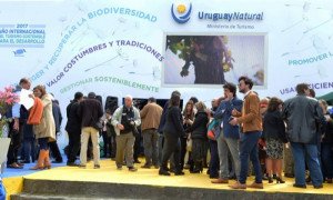 Uruguay proyecta más de US$ 1.000 millones a favor en balanza turística este año