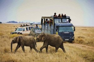 Camiones chill out, lo último en safaris por África