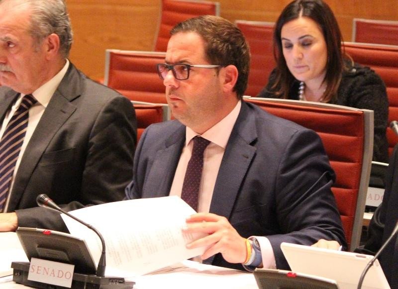 Agustín Almodóbar, en la Comisión de Energía, Turismo y Agenda Digital del Senado.