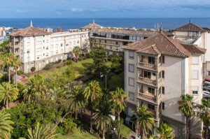 Tenerife amplía hasta el 10 de enero el plazo para pujar por el Taoro