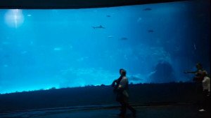 Poema del Mar: mega acuario y parque temático bajo un mismo techo
