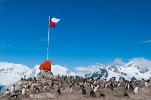 Antártica chilena espera cerca de 2000 chinos entre enero y marzo