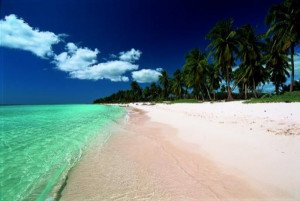 Aumenta 3,9% la llegada de turistas a República Dominicana en enero