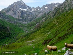 Un paisaje de Asturias, el rincón de naturaleza más bonito de España