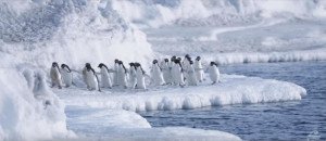 Seguridad aérea bajo cero: espectacular video en la Antártida