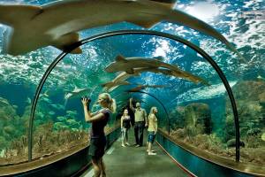 Loro Parque, el zoológico número 1 del mundo por segundo año consecutivo